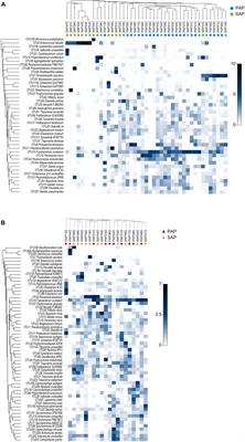 Root Microbiota in Primary and Secondary <mark class="highlighted">Apical Periodontitis</mark>